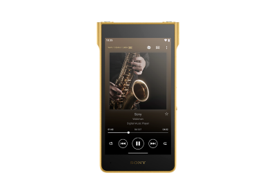 NW-WM1ZM3 | Walkman® | Portable Audio Player | Sony Ivory Coast