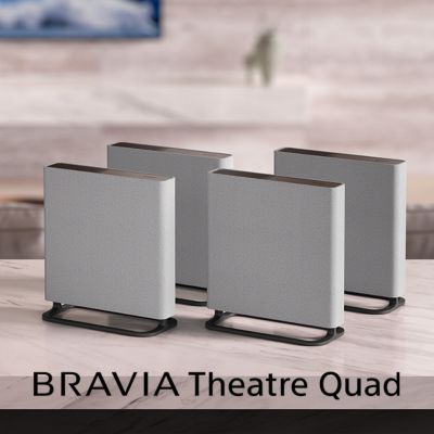 BRAVIA Theatre Quad