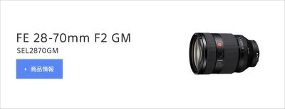 FE 24-70mm F2.8 GM II