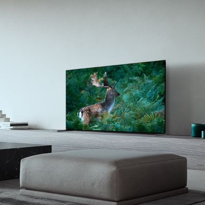 QD-OLEDパネル搭載有機ELテレビ