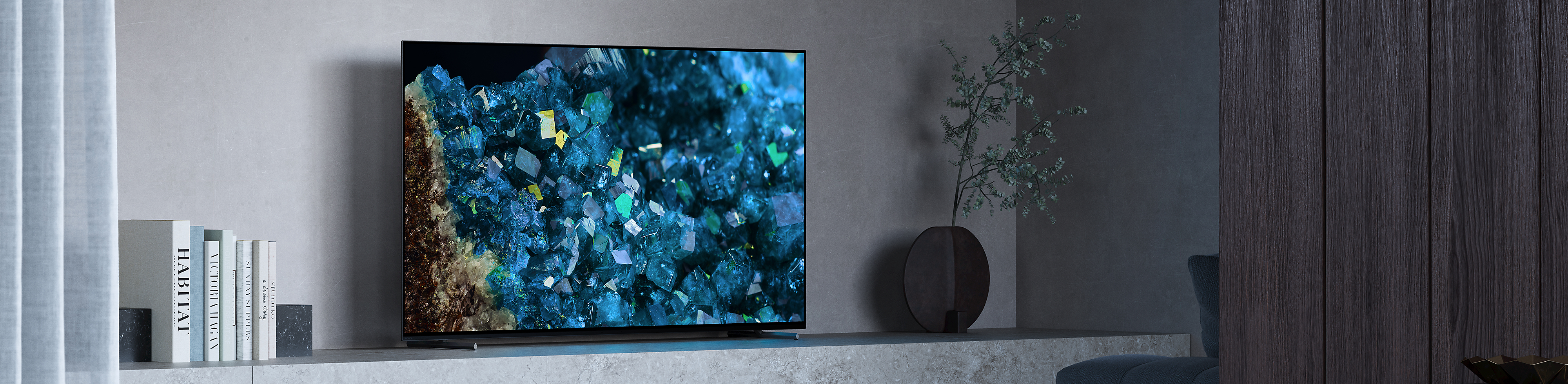 Téléviseur BRAVIA A80L/A83L/A84L à côté d'une plante et de livres, avec des cristaux bleus à l'écran, dans un salon