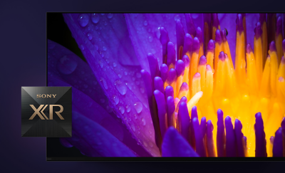 Detail van een tv-scherm met gele en paarse bloemblaadjes en het Sony XR-logo op de voorgrond