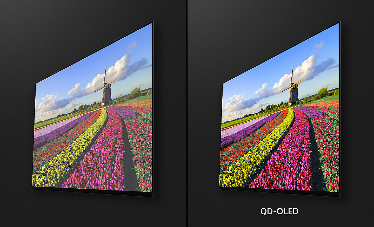 Two angled screenshots of flowers in a field with right image showing the enhanced colours of QD-OLED