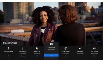 截圖顯示 BRAVIA 的快速設定目錄