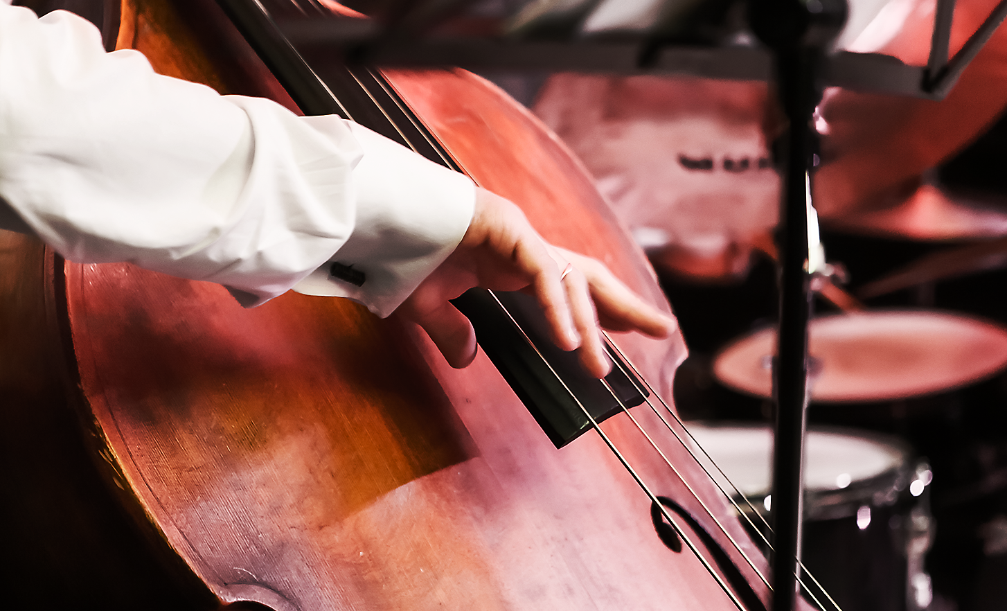 Close-up on a musician's hand, plucking the strings of a double bass