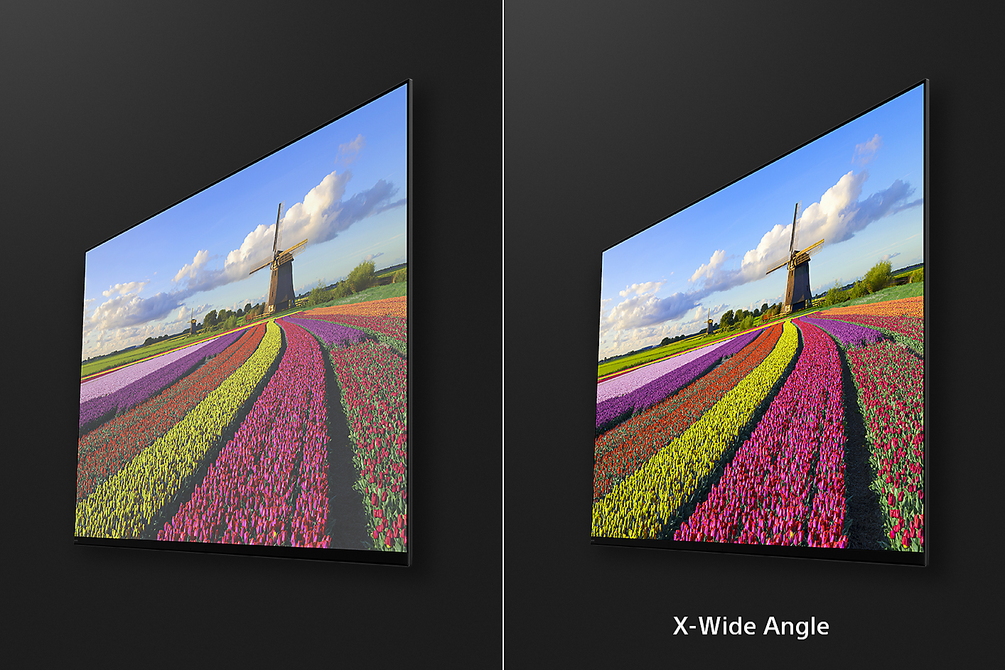 Deux captures d'écran inclinées de fleurs dans un champ avec une image à droite montrant les avantages de X-Wide Angle