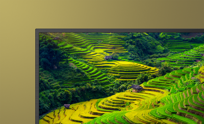 Image showing top part of TV with screenshot of yellow and green paddy fields