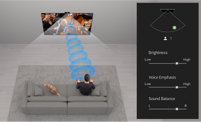 Top view of person and cat on sofa with a concert playing on a wall-mounted TV, blue sound waves  between the TV and person and BRAVIA Cam settings on right of screen