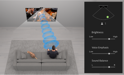 Top view of person and cat on sofa with a concert playing on a wall-mounted TV, blue sound waves between the TV and person and BRAVIA Cam settings on right of screen