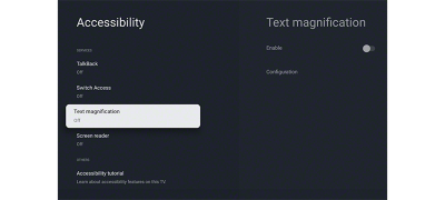 Talkback and text magnification functions