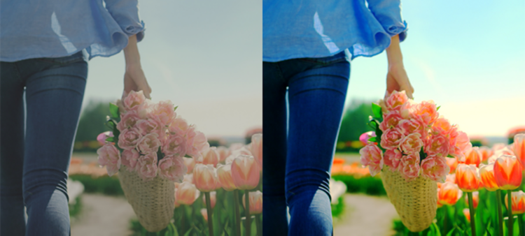 Hơn một tỷ màu sắc sống động như thật