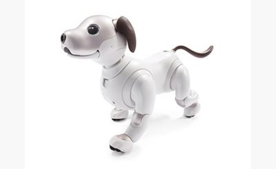 My aibo