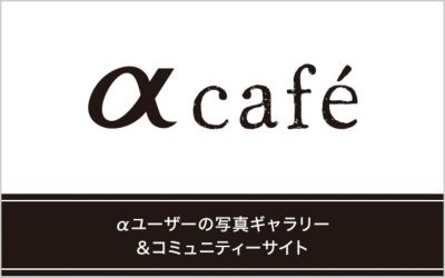 αcafe