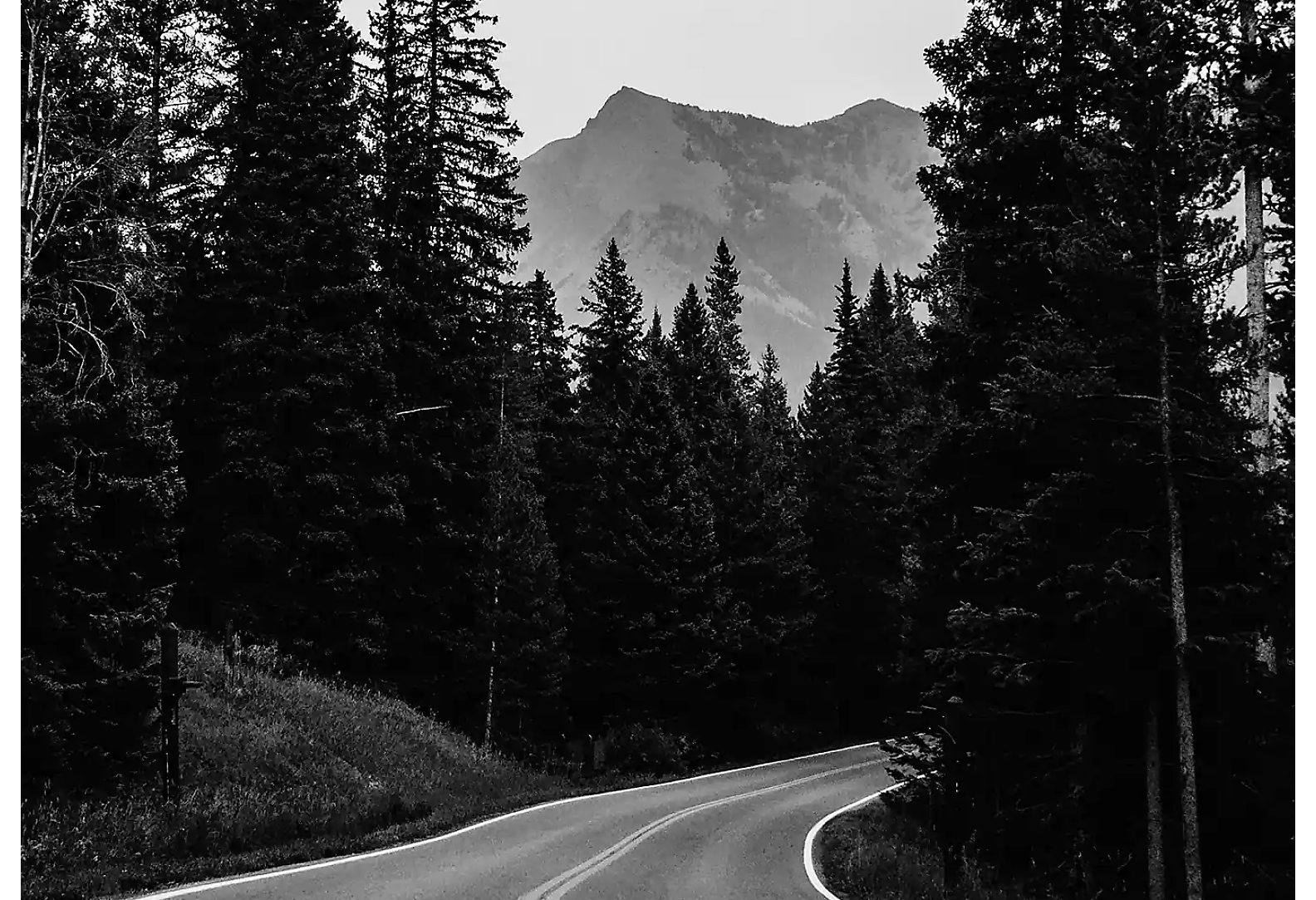 A two-lane road through a forest with a mountain peak in the background, in black and white.