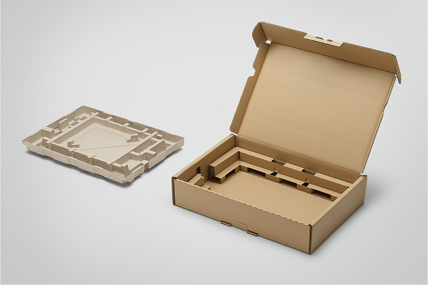 Image of cardboard package and pulp mould inner cushion side by side