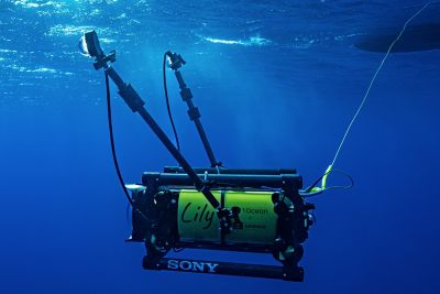 Pequeño submarino amarillo bajo el agua