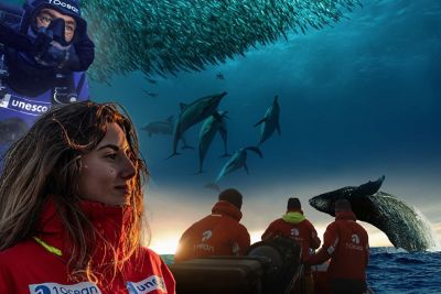 Una foto del proyecto 1 Ocean