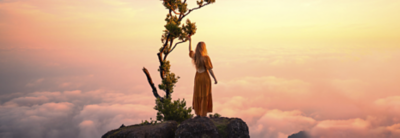 Contact maken met creators