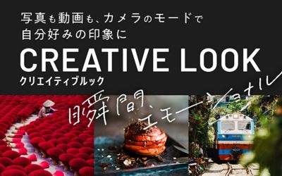 カメラにプリセットされている10種類の個性的なルックを作品とともにご紹介