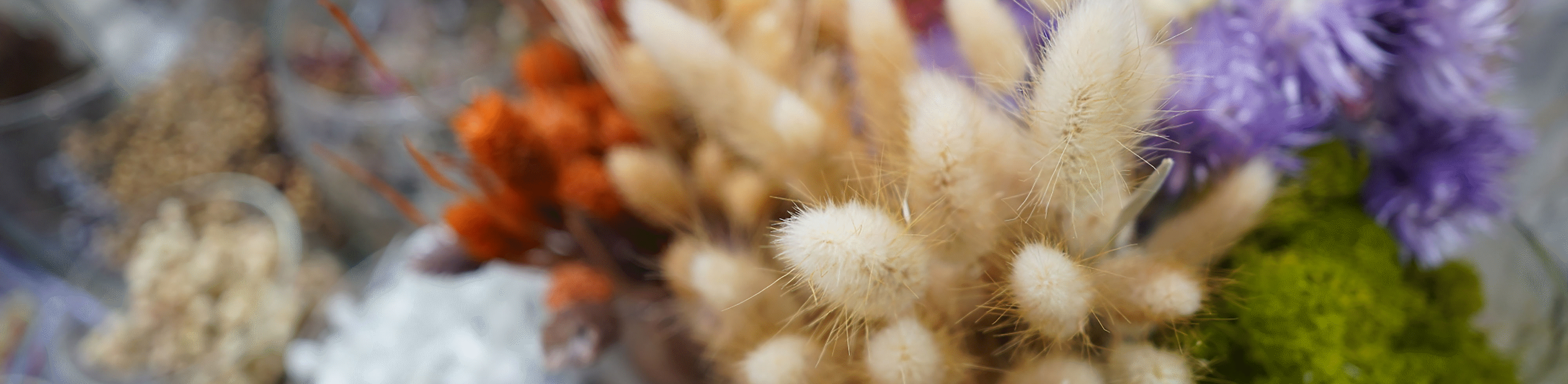 لقطة مقرّبة لباقات تضم عشبًا خشنًا وأنواعًا أخرى من الزهور
