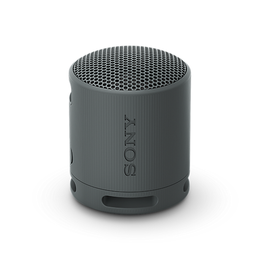 XB100 draagbare draadloze speaker