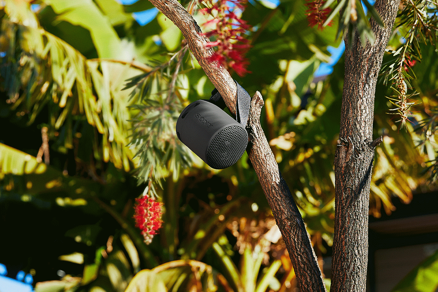 Gambar speaker SRS-XB100 berwarna hitam terpasang erat ke pohon melalui talinya