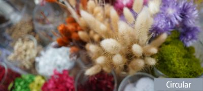 Close-up of bristle grass and other flower bouquets