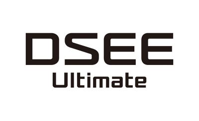 An image of the DSEE logo.
