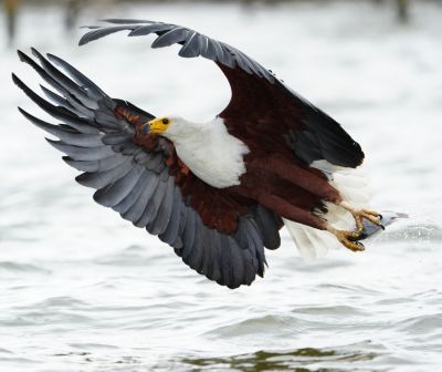 Capacitate slow-motion