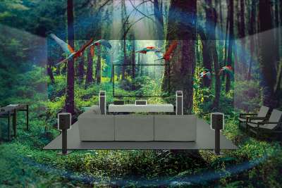 תמונה של ספה, טלוויזיה ורמקולים באמצע יער ותוכים עפים מסביב