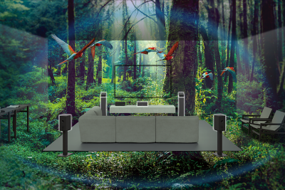 Image of a sofa, TV and speakers in the middle of a forest with parrots flying around