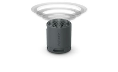 Image of the black SRS-XB100 speaker with grey sound waves emitting from the top