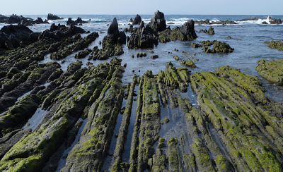 Image of coastal rock formation