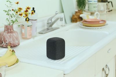 A black LinkBuds Speaker on a kitchen counter.