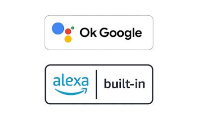 תמונה של לוגו Ok Google ולוגו מובנה של Alexa