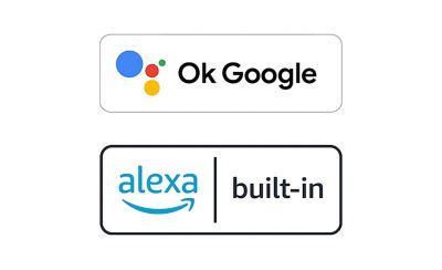 Image of an Ok Google logo and an alexa built-in logo