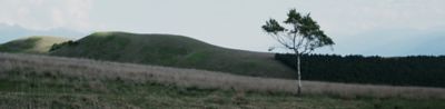Image of scenery