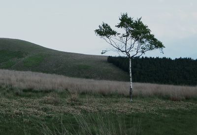 Image of scenery