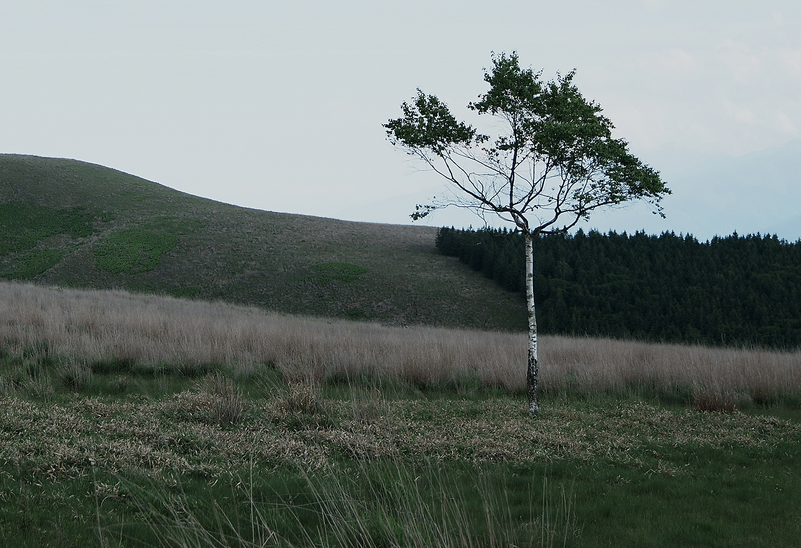 Image d'un paysage