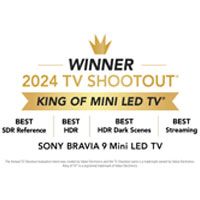 2024 年 TV Shootout Mini LED 電視之王的標誌