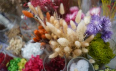 Primer plano de ramos de flores