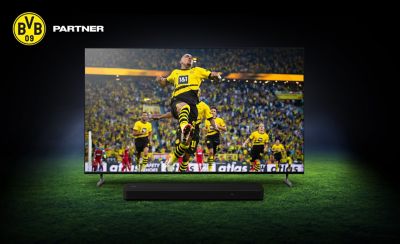 bravia
