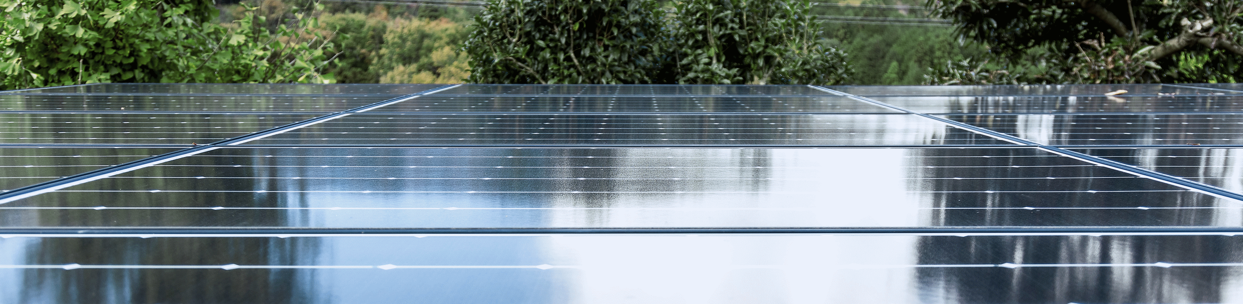 Fotografía que muestra el techo de una fábrica cubierto por paneles solares
