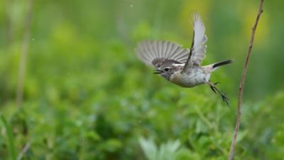 photosample_002