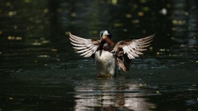 photosample_003