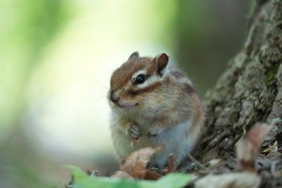 photosample_003