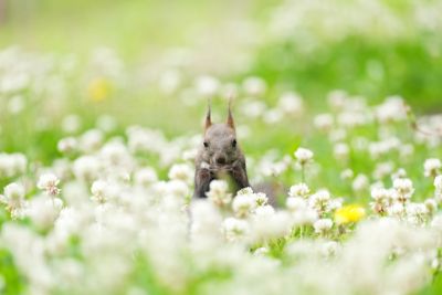 photosample_004