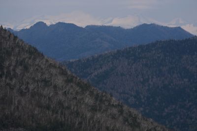 photosample_004