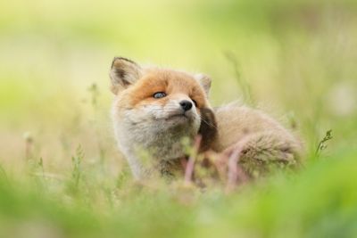 photosample_006