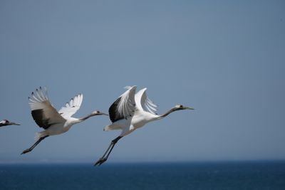 photosample_006